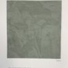 DECOSTUCCO Decorative Marble Effect Venetian Coating