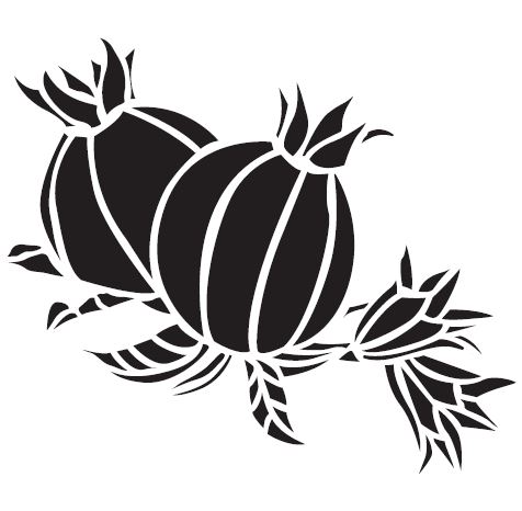 NATURE MOTIFS POMEGRANATE STENCIL